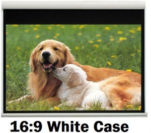 ProLyte 240x200 Motorlu Projeksiyon Perdesi EX-24 16:9 Black Border 232x130 cm