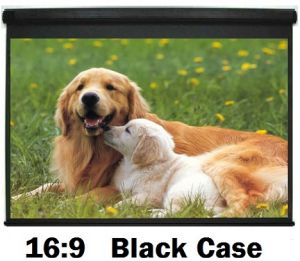 ProLyte 240x200 Motorlu Projeksiyon Perdesi EX-24 16:9 Black Border 232x130 cm