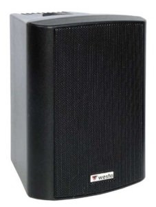 Westa WS-5TW 125W Kabin Hoparlör (Çift)