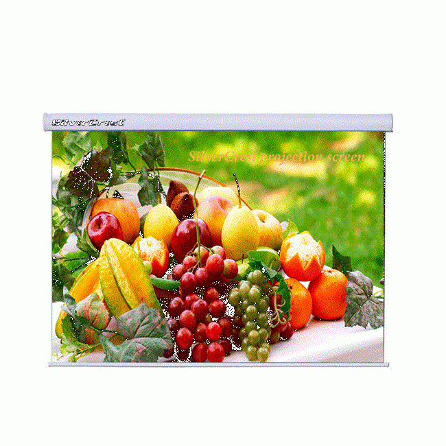 SilverCrest 240x200 CamTozlu Motorlu Projeksiyon Perdesi