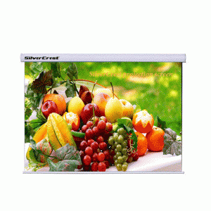 SilverCrest 240x200 CamTozlu Motorlu Projeksiyon Perdesi